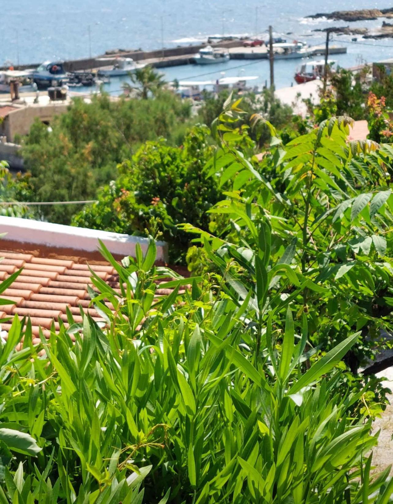 Villas Vista Del Mar Kíssamos Екстериор снимка